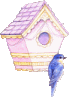Birds graphics