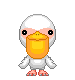 Birds graphics