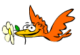 Birds graphics