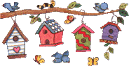 Birds graphics