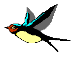 Birds graphics