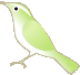 Birds graphics