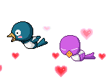 Birds graphics