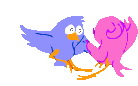 Birds graphics