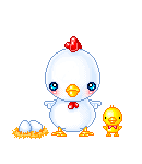 Birds graphics