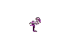 Birds graphics