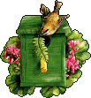 Birds graphics