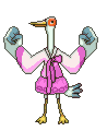 Birds graphics