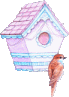 Birds graphics