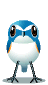 Birds graphics