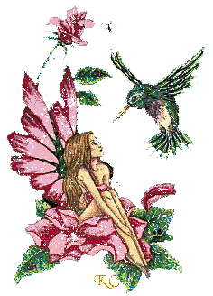 Birds graphics