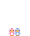 Birds graphics