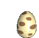 Birds graphics