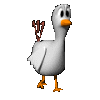 Birds graphics