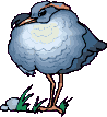 Birds graphics