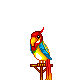 Birds graphics