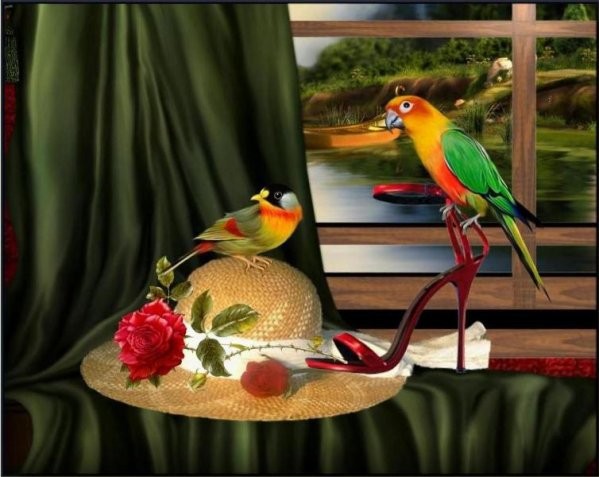 Birds graphics