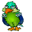 Birds graphics