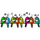 Birds graphics