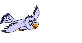 Birds graphics