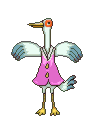 Birds graphics