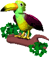 Birds graphics