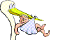 Birth graphics