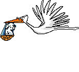 Birth graphics