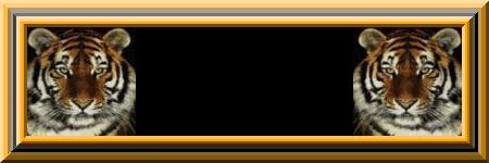 Blank name plates graphics