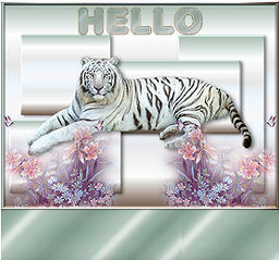 Blank name plates graphics