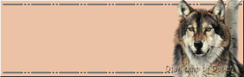 Blank name plates graphics