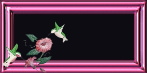 Blank name plates graphics