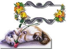 Blank name plates graphics