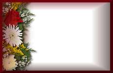 Blank name plates graphics