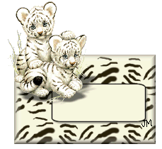 Blank name plates graphics