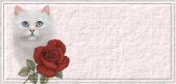 Blank name plates graphics