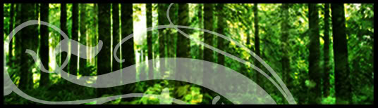 Blank name plates graphics