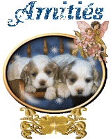 Bonjour graphics