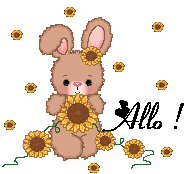 Bonjour graphics