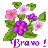 Bonjour graphics