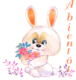 Bonjour graphics