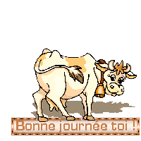 Bonjour graphics