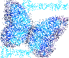Bonjour graphics