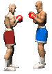 Boxing graphics