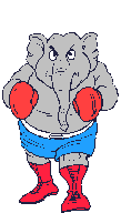 Boxing graphics