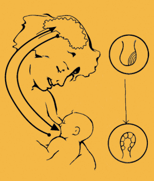 Breastfeeding graphics