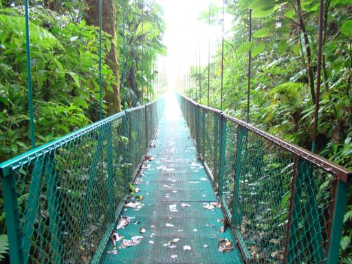 Bridge graphics