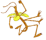 Bugs life graphics