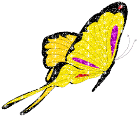 Butterflies graphics