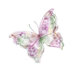 Butterflies graphics